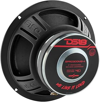 Amazon.com: DS18 8PRO300MB-4 PRO 8